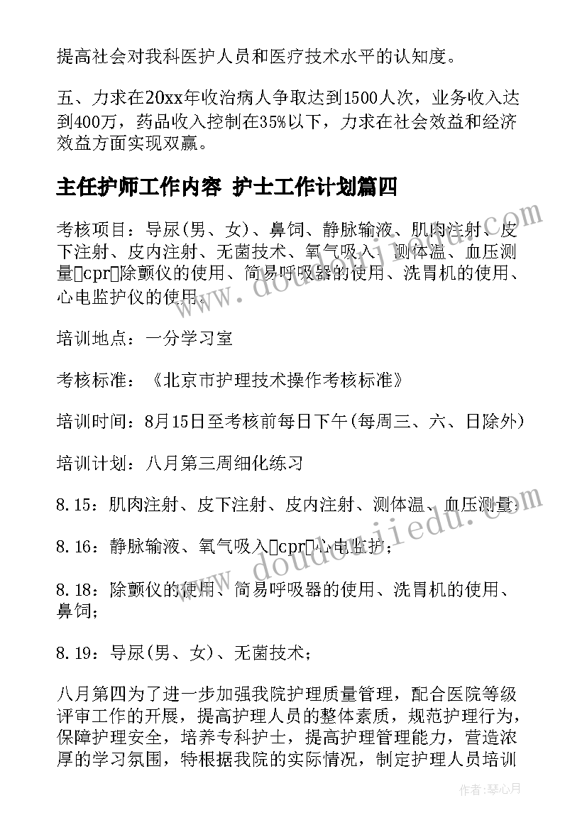 主任护师工作内容 护士工作计划(优质10篇)