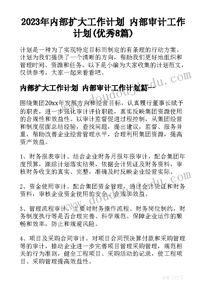 2023年内部扩大工作计划 内部审计工作计划(优秀8篇)