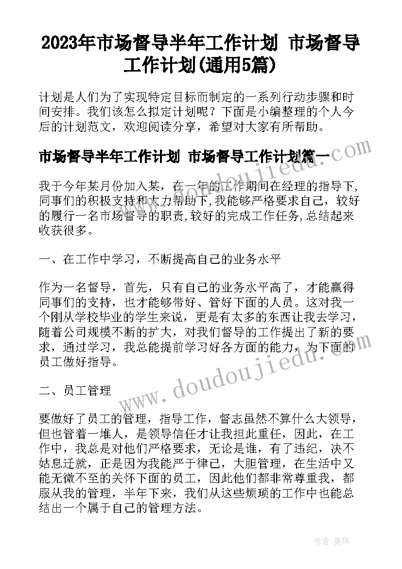 2023年市场督导半年工作计划 市场督导工作计划(通用5篇)