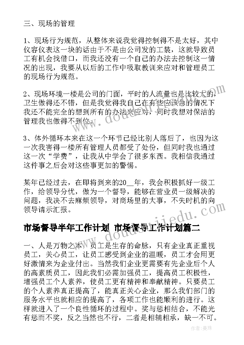 2023年市场督导半年工作计划 市场督导工作计划(通用5篇)