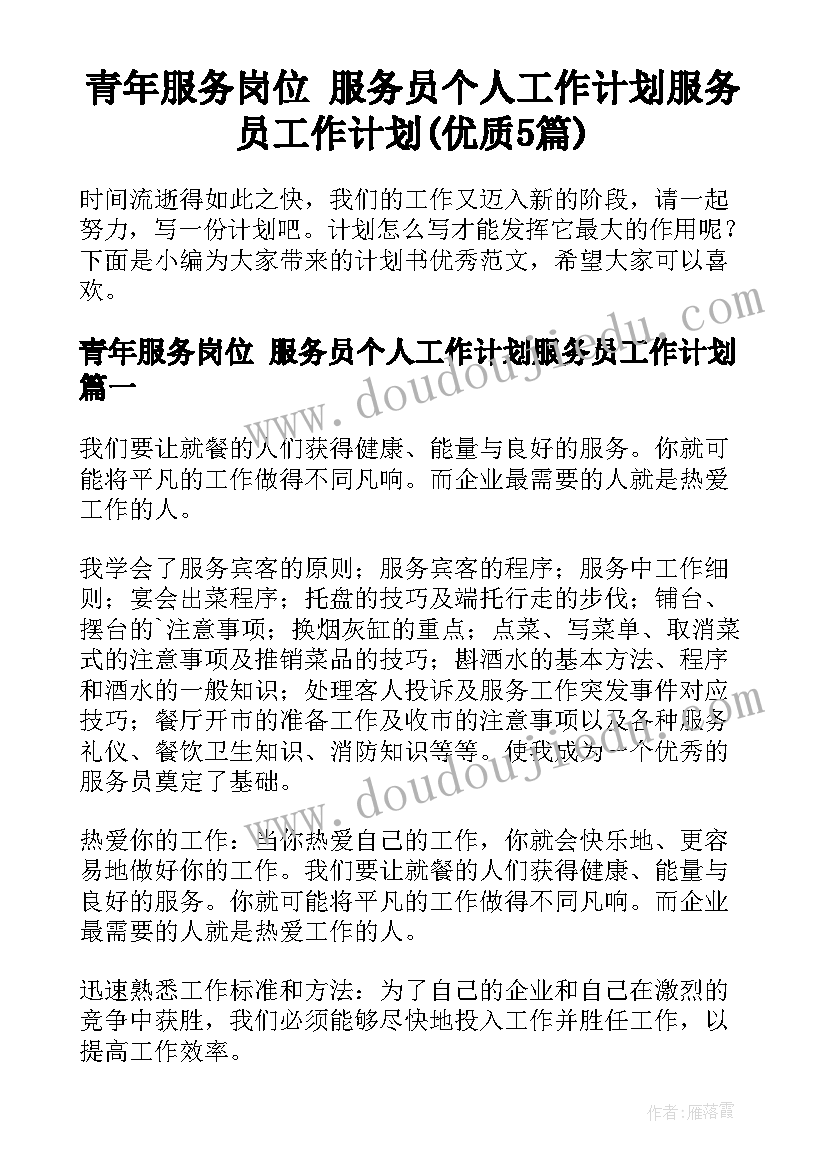 青年服务岗位 服务员个人工作计划服务员工作计划(优质5篇)