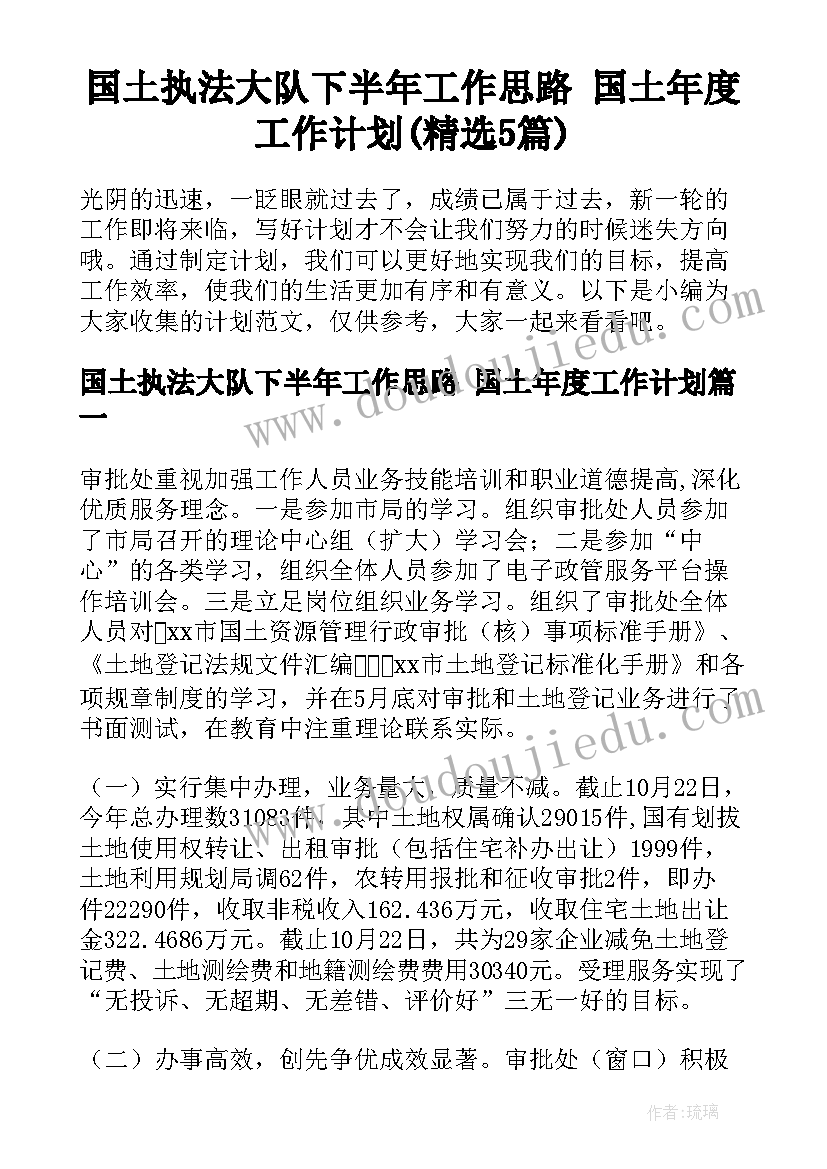 国土执法大队下半年工作思路 国土年度工作计划(精选5篇)