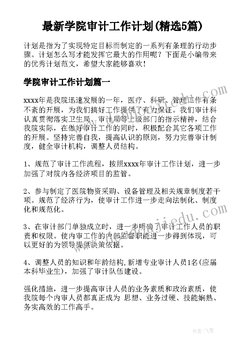 最新学院审计工作计划(精选5篇)