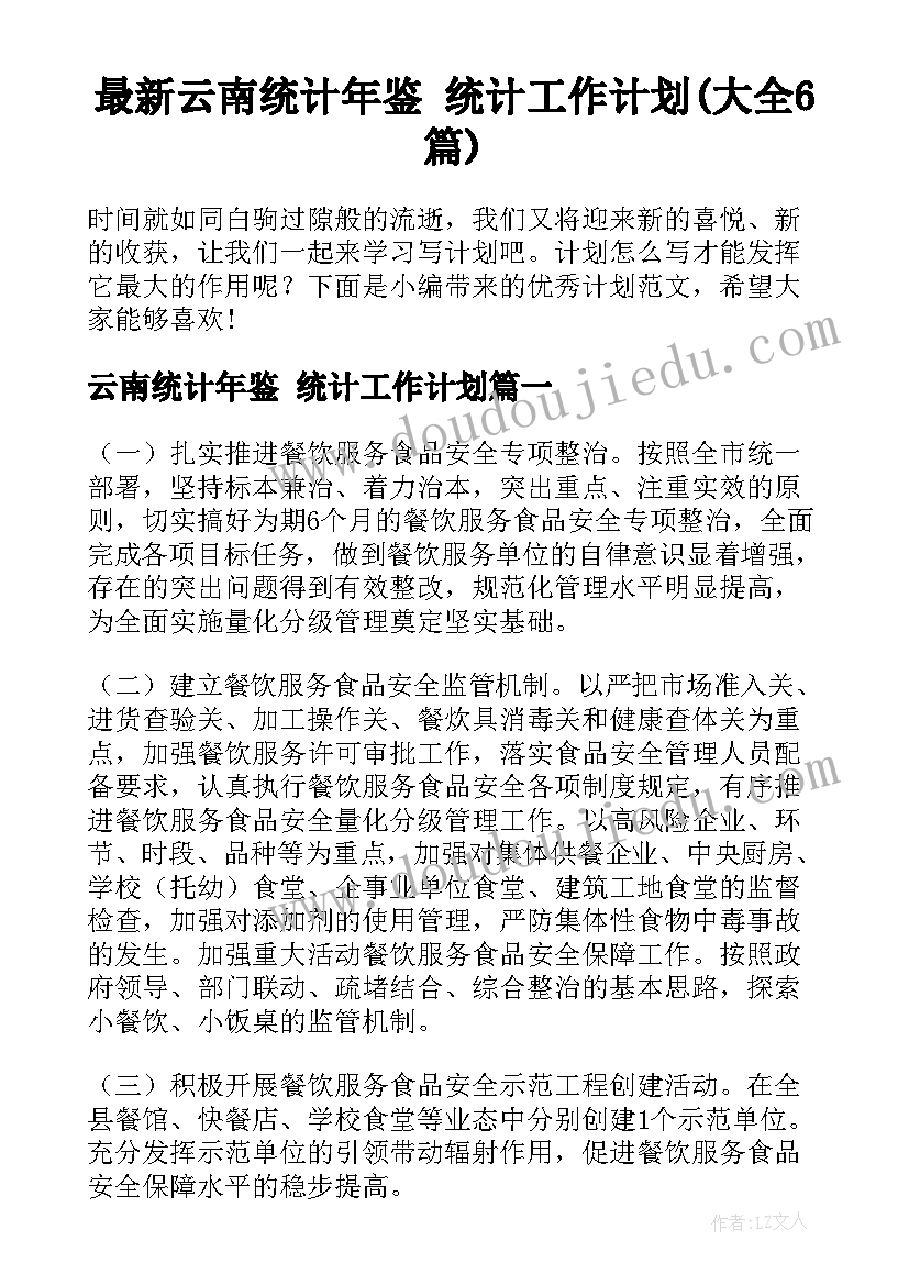 最新云南统计年鉴 统计工作计划(大全6篇)