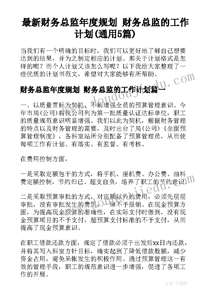 最新财务总监年度规划 财务总监的工作计划(通用5篇)