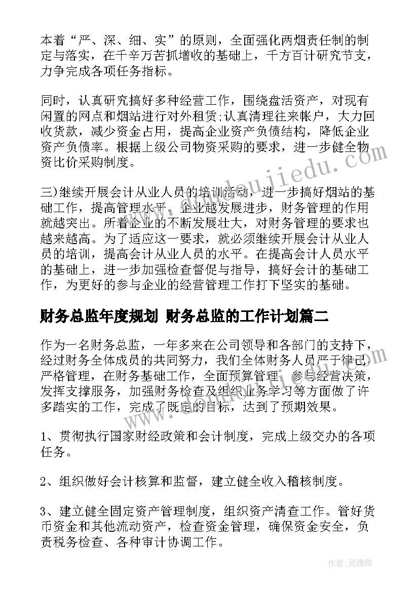 最新财务总监年度规划 财务总监的工作计划(通用5篇)