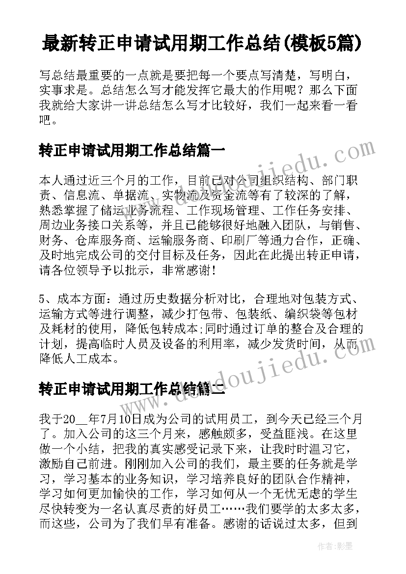 最新转正申请试用期工作总结(模板5篇)