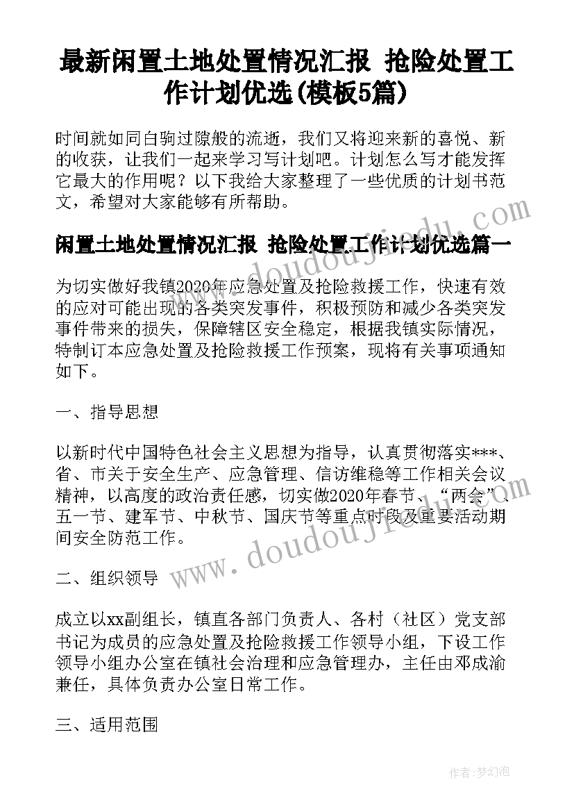 最新闲置土地处置情况汇报 抢险处置工作计划优选(模板5篇)