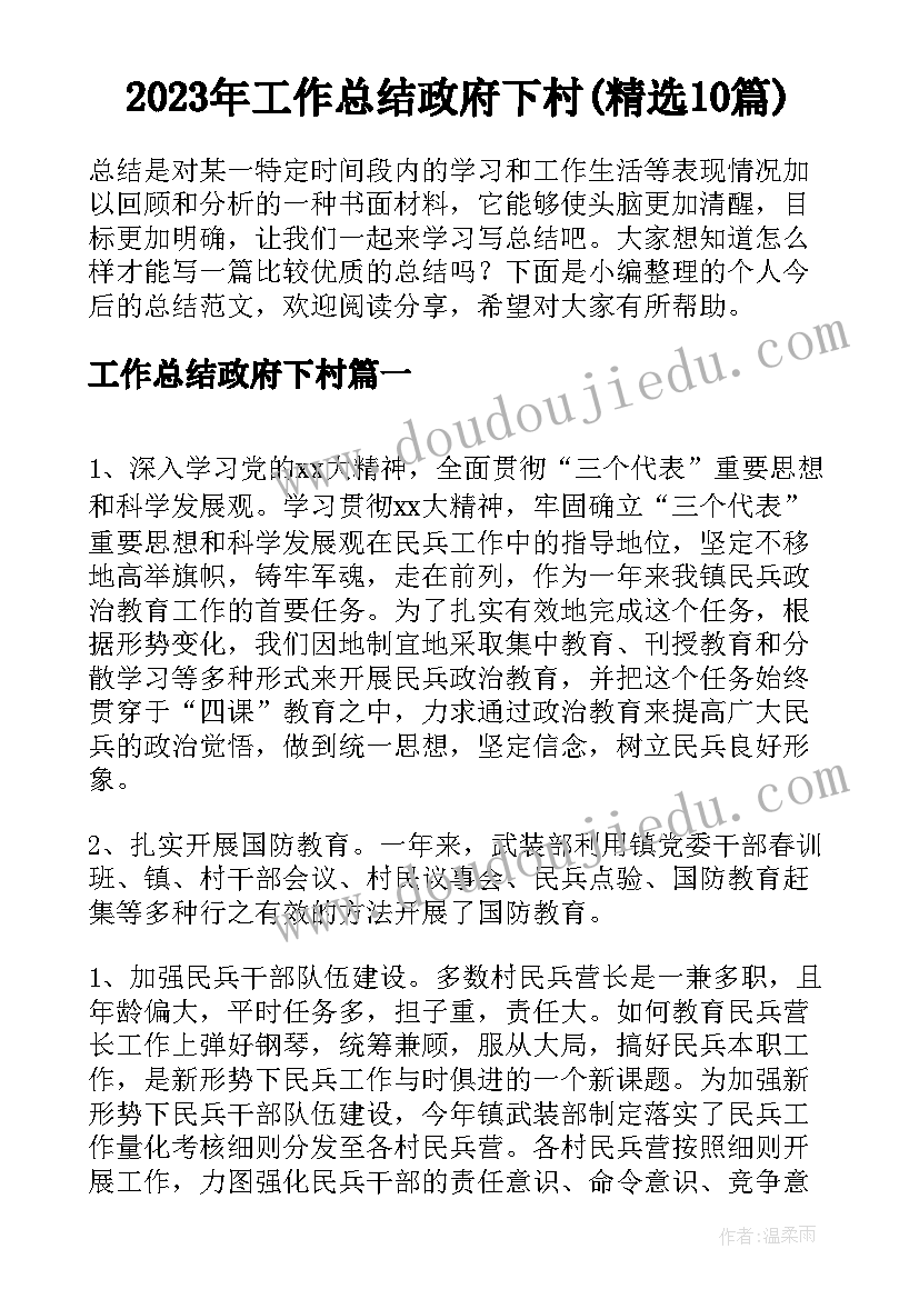 2023年工作总结政府下村(精选10篇)