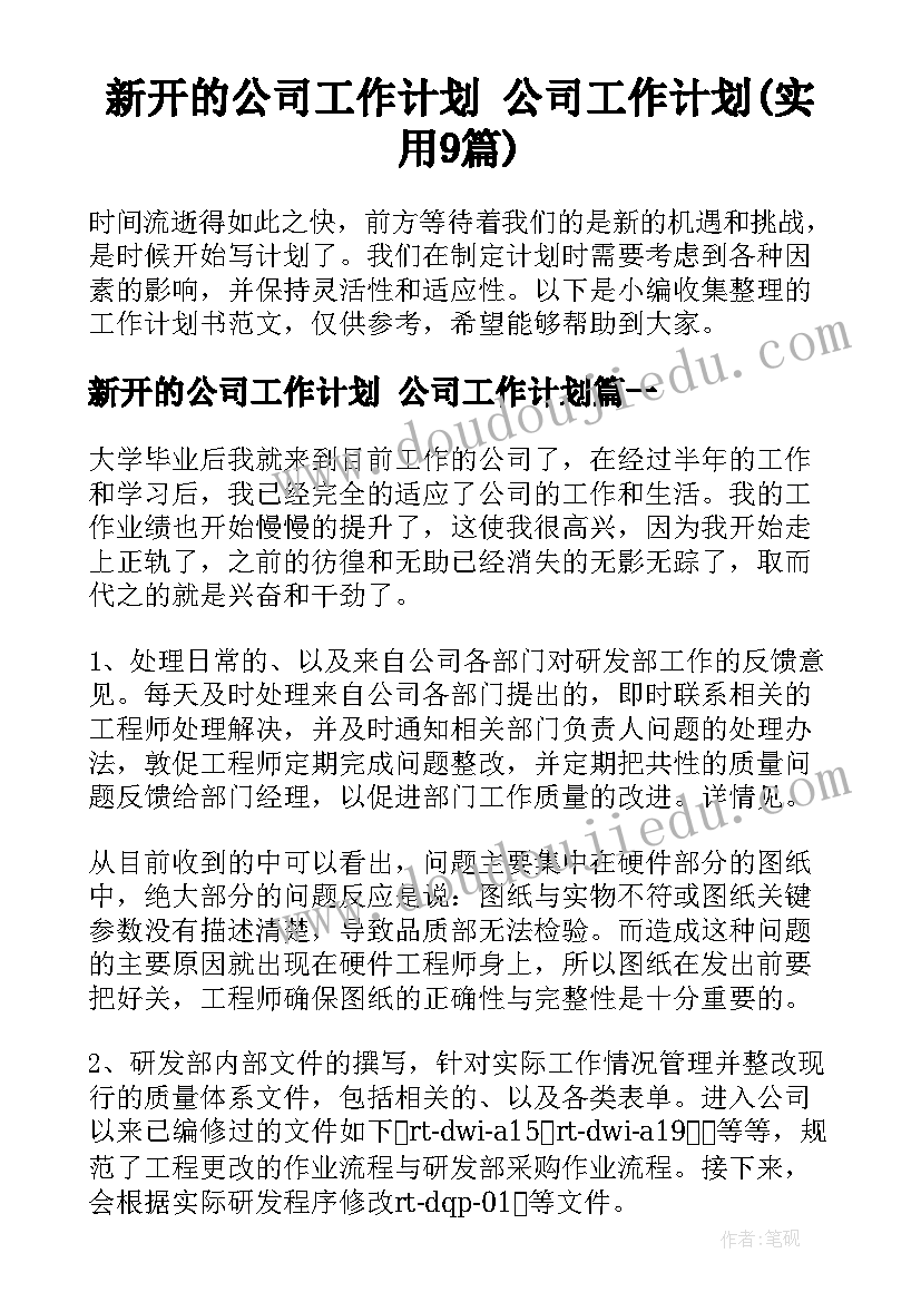 新开的公司工作计划 公司工作计划(实用9篇)