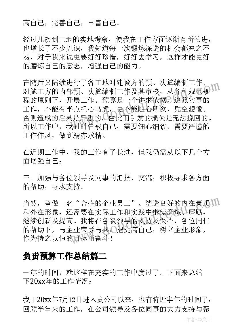 负责预算工作总结(优秀8篇)