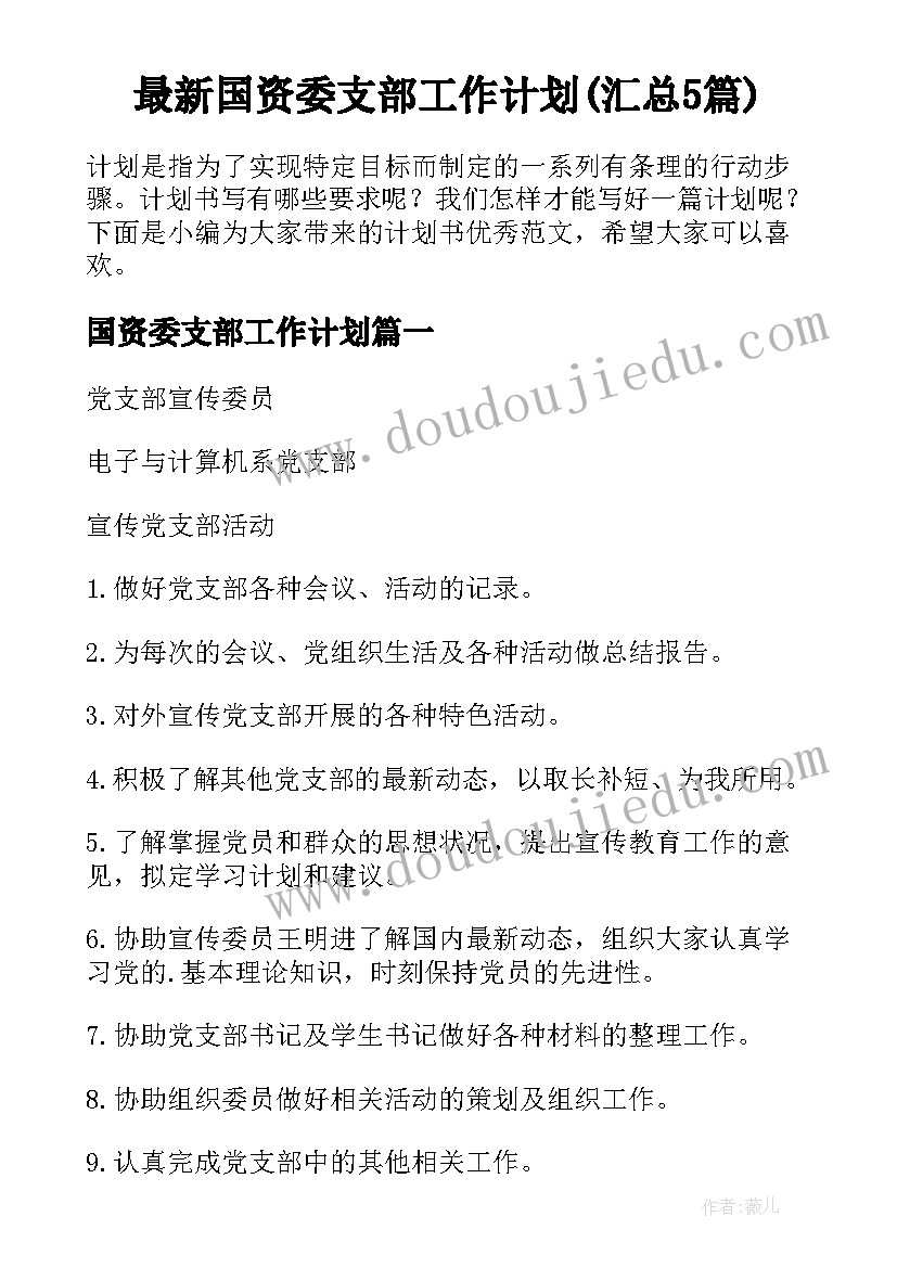 最新国资委支部工作计划(汇总5篇)