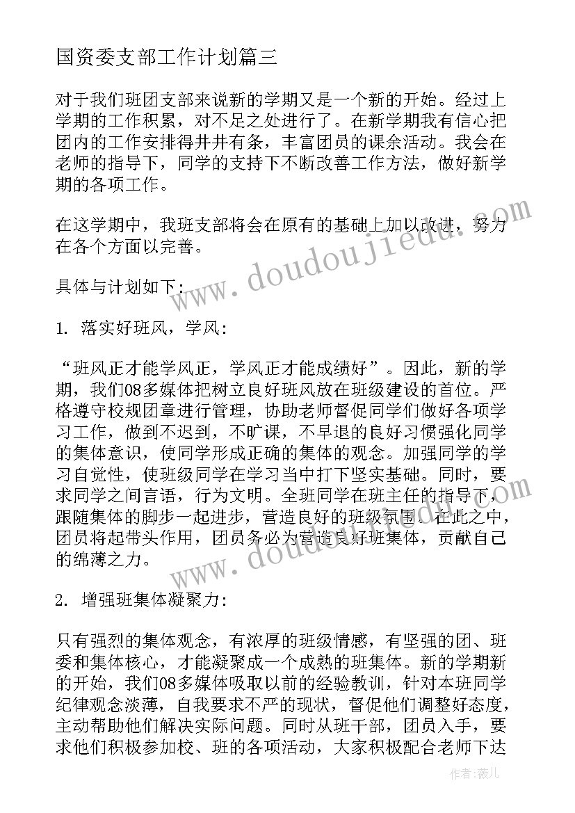 最新国资委支部工作计划(汇总5篇)