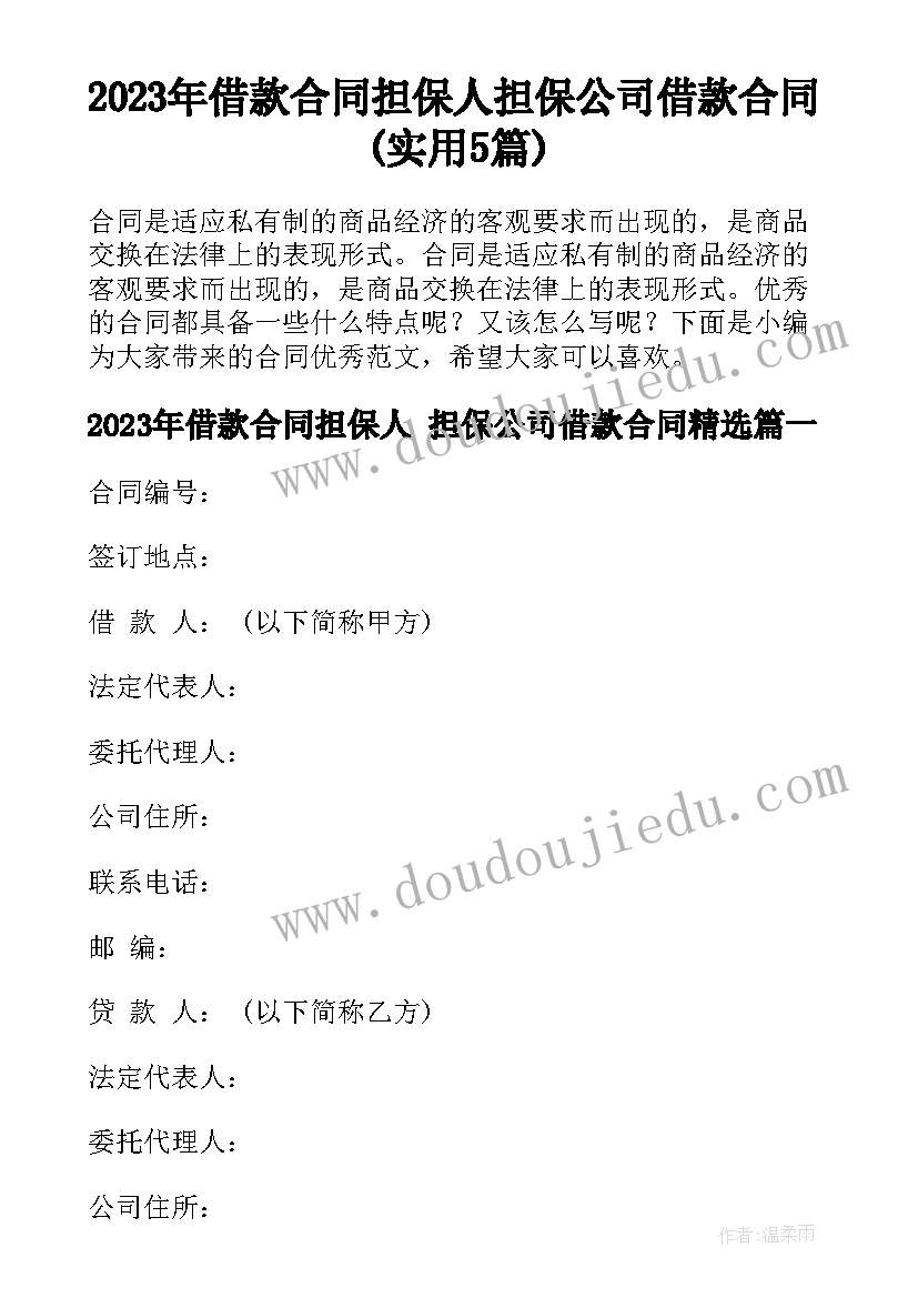 2023年借款合同担保人 担保公司借款合同(实用5篇)