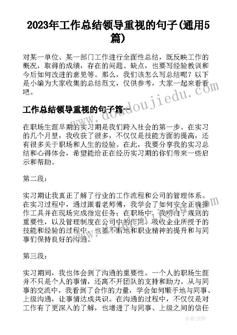 2023年工作总结领导重视的句子(通用5篇)