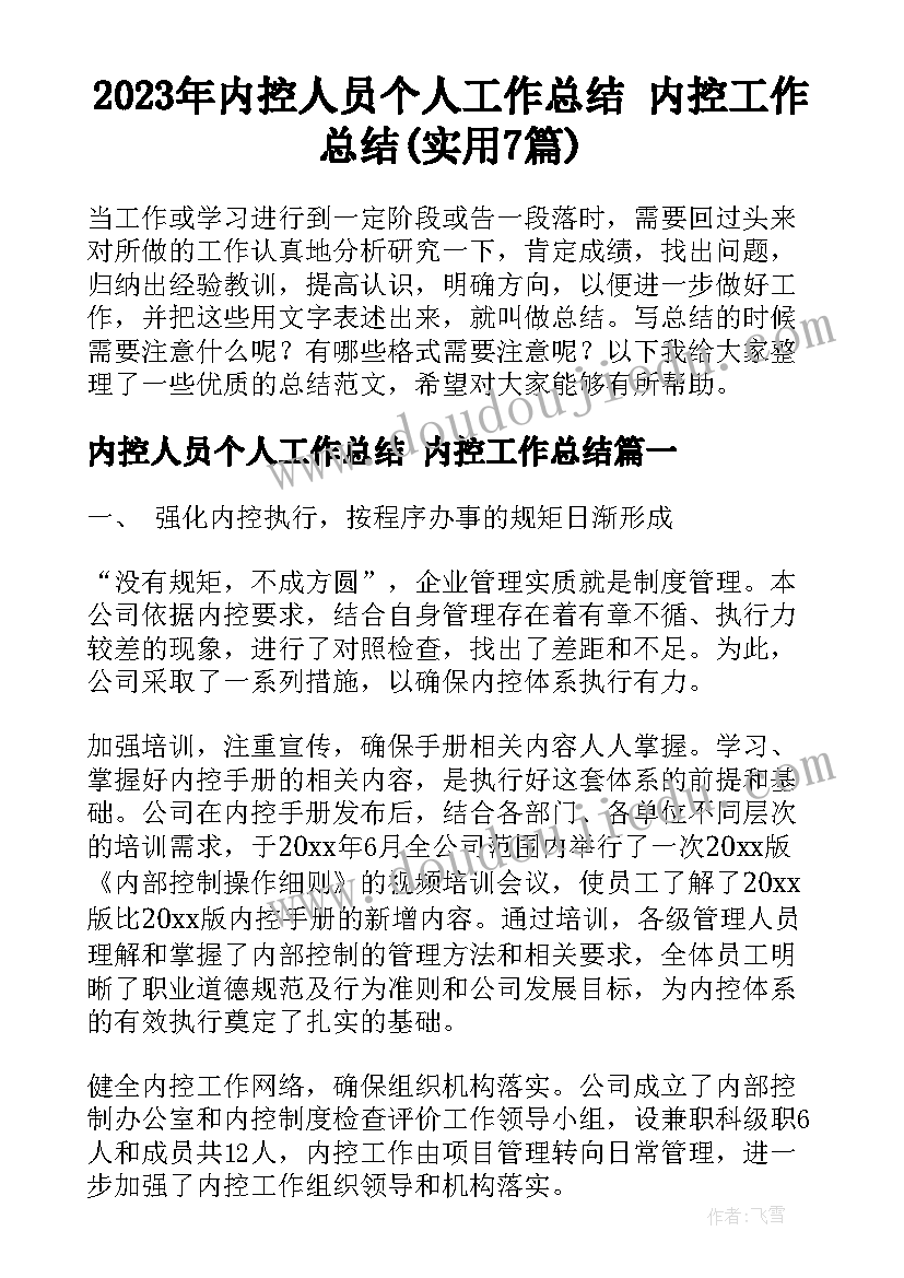 2023年内控人员个人工作总结 内控工作总结(实用7篇)