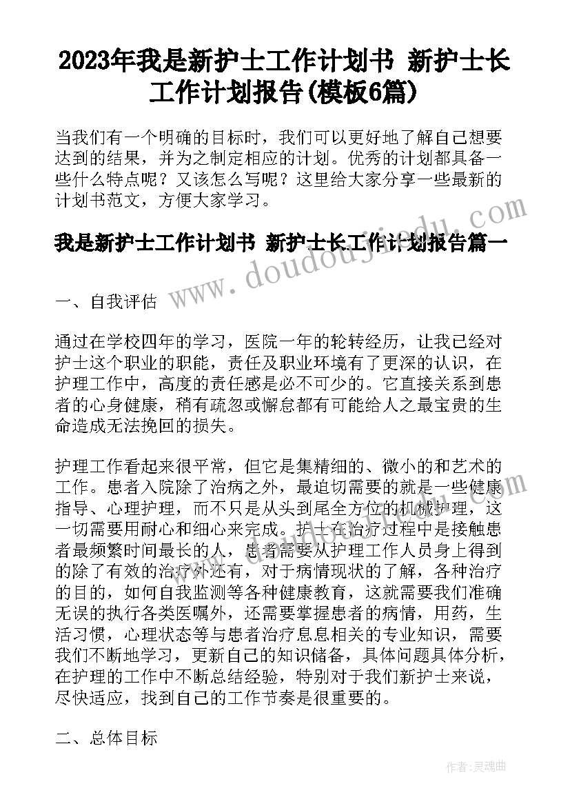 2023年我是新护士工作计划书 新护士长工作计划报告(模板6篇)