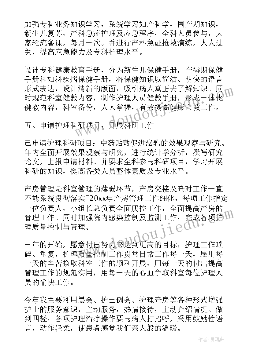 2023年我是新护士工作计划书 新护士长工作计划报告(模板6篇)