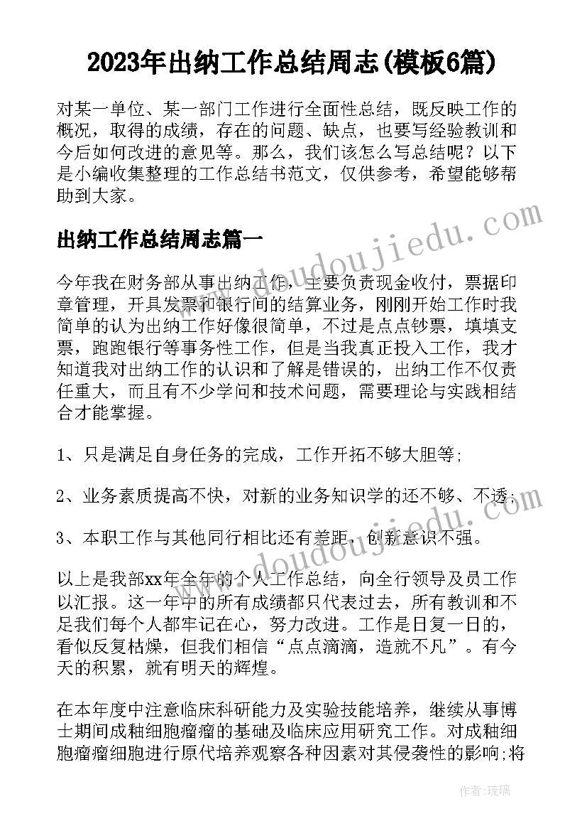 2023年出纳工作总结周志(模板6篇)