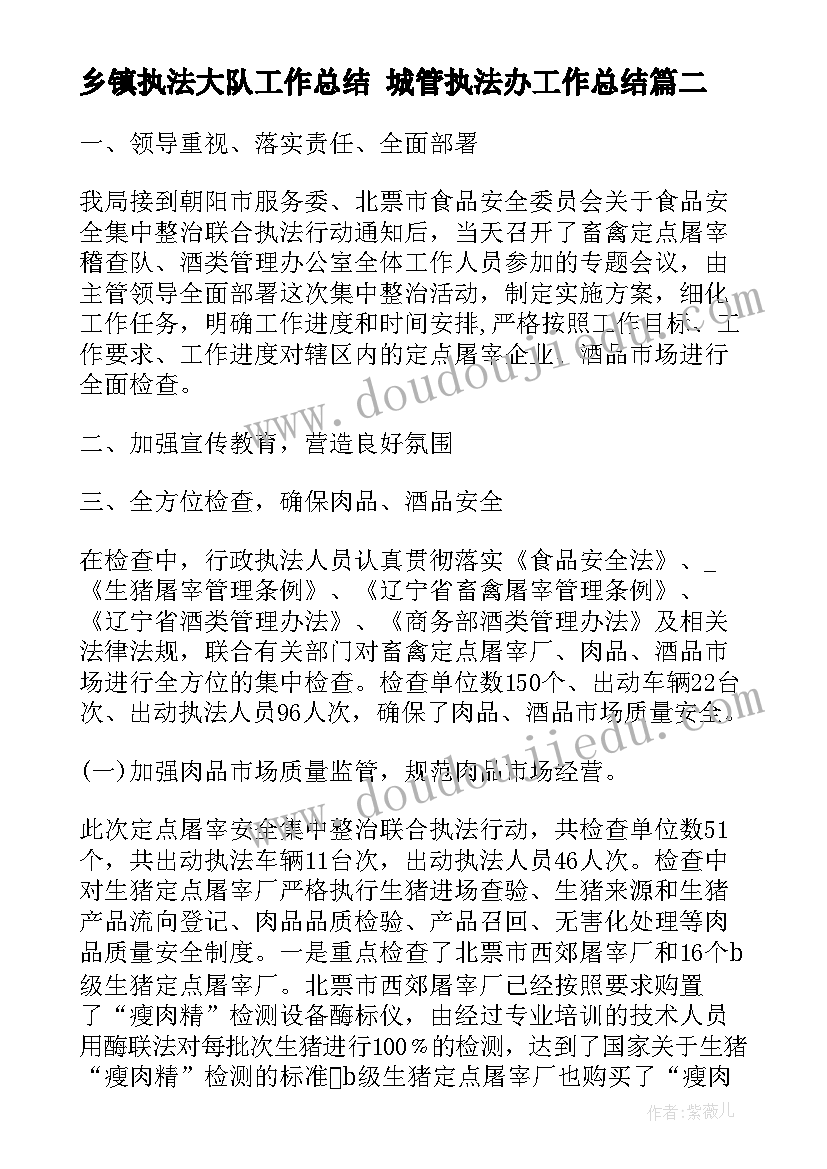 乡镇执法大队工作总结 城管执法办工作总结(优秀6篇)