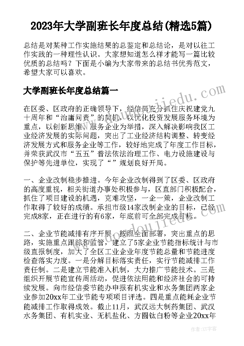 2023年大学副班长年度总结(精选5篇)