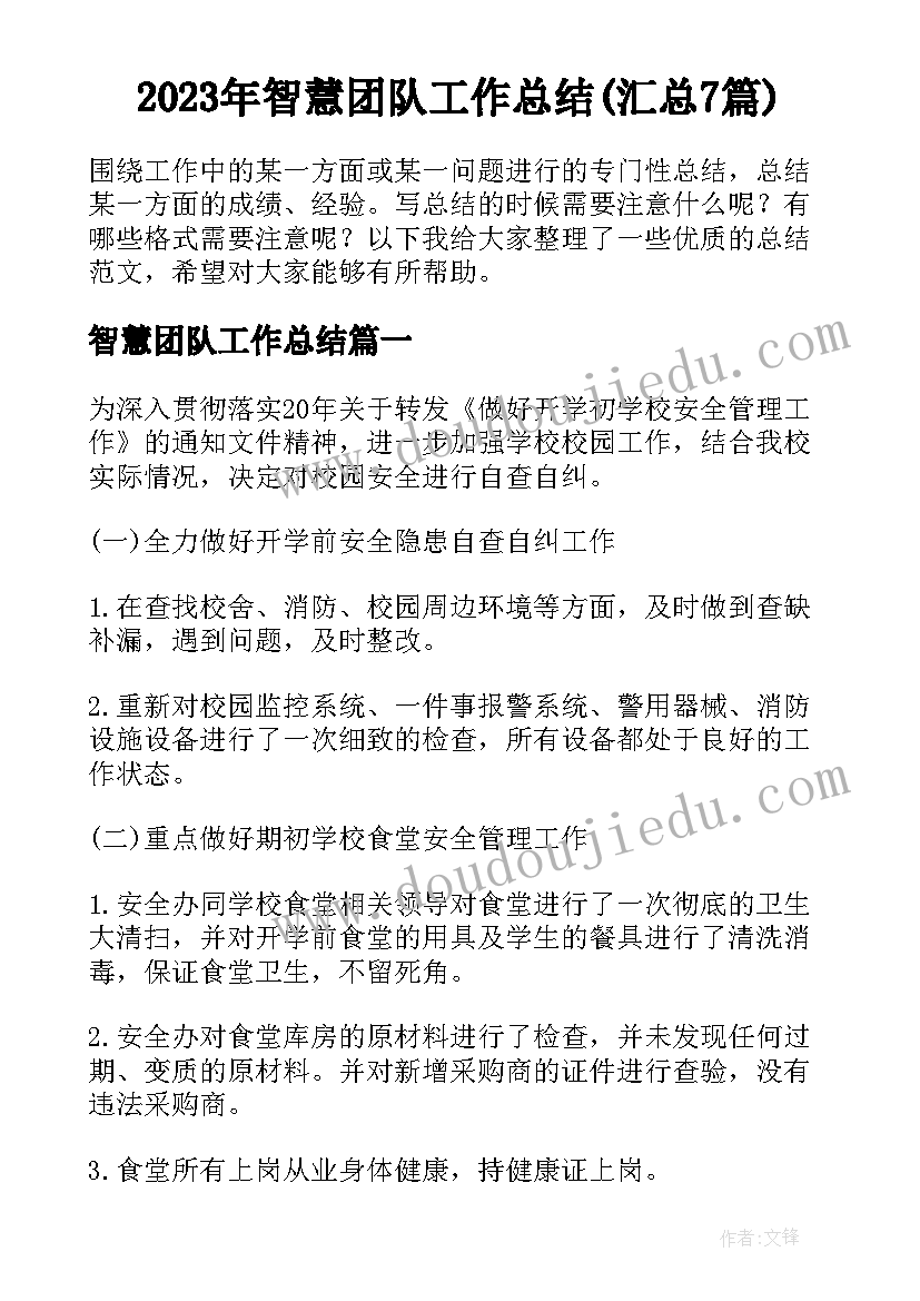 2023年智慧团队工作总结(汇总7篇)