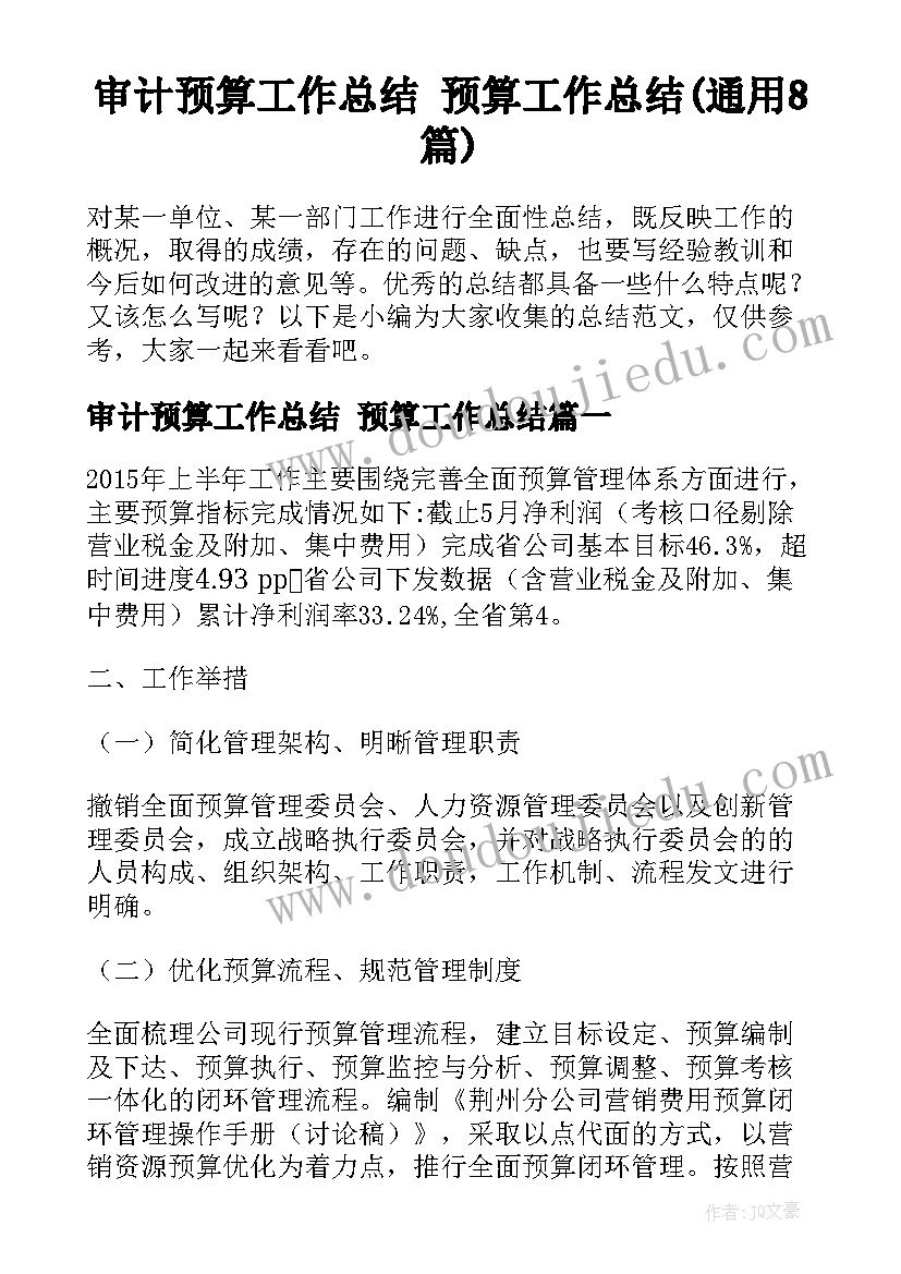 审计预算工作总结 预算工作总结(通用8篇)