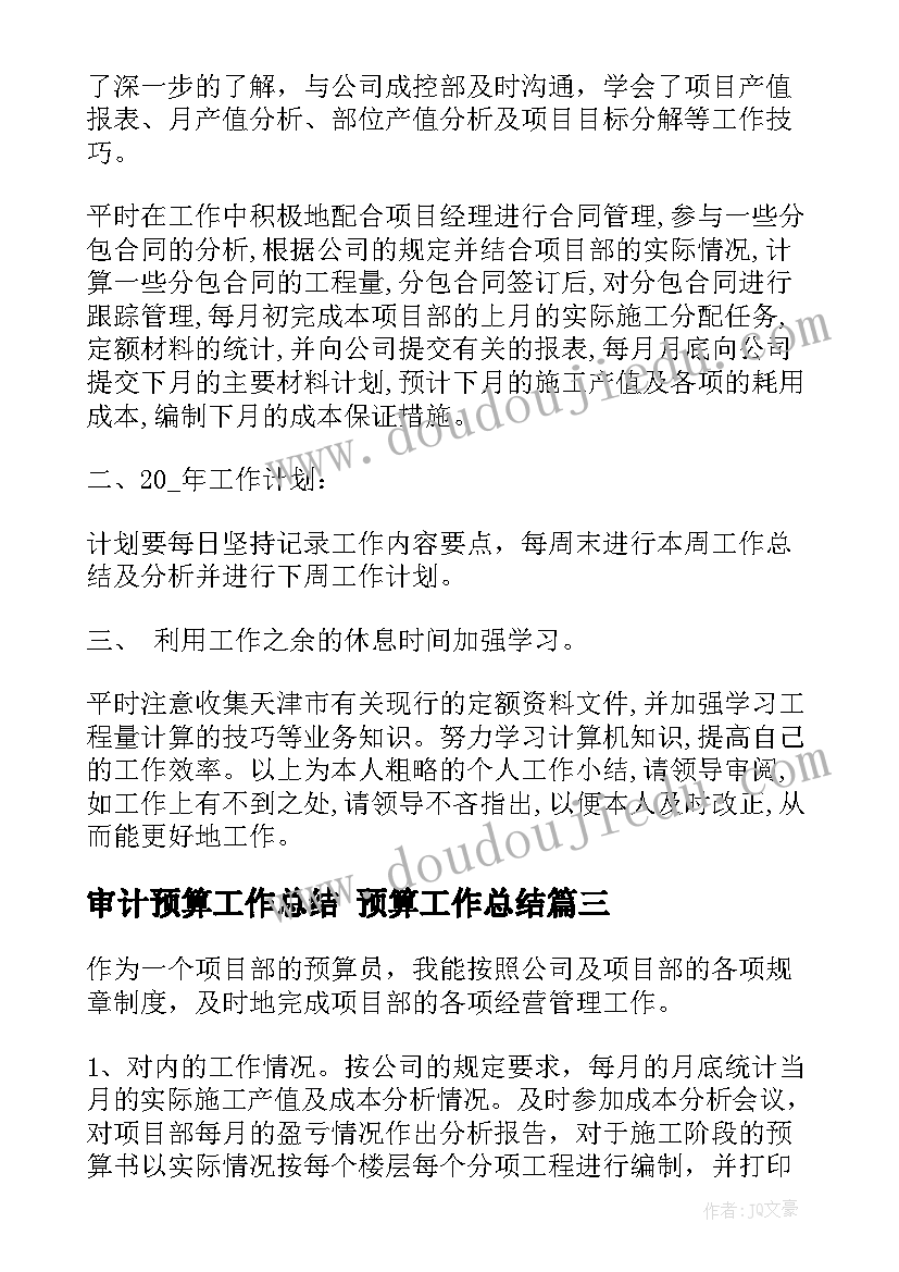 审计预算工作总结 预算工作总结(通用8篇)