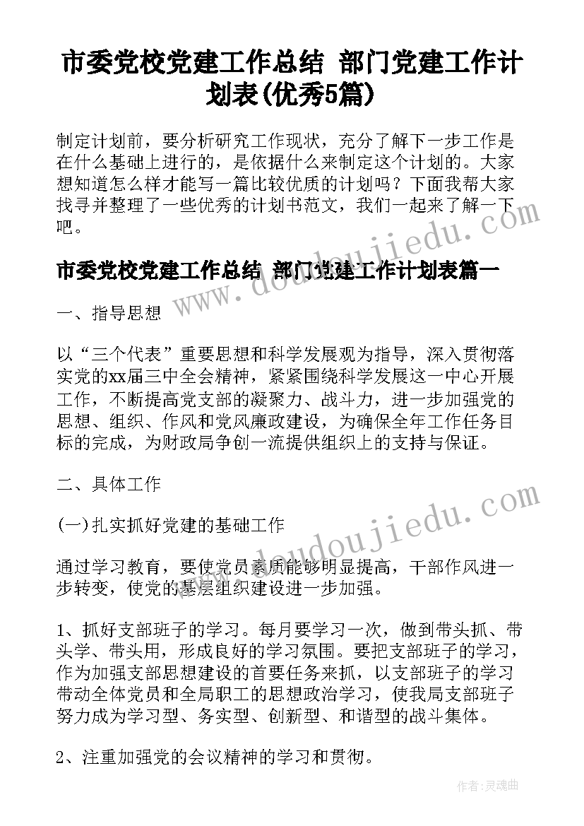 市委党校党建工作总结 部门党建工作计划表(优秀5篇)