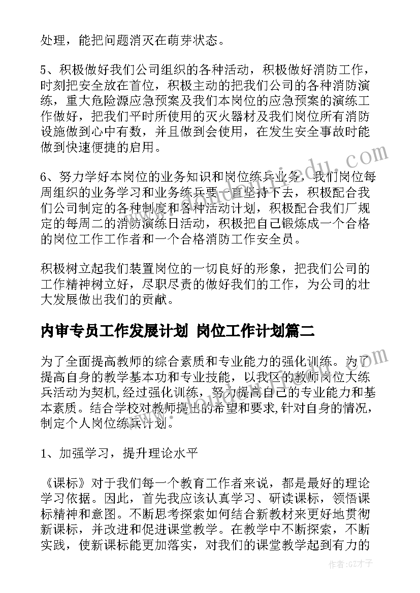 2023年内审专员工作发展计划 岗位工作计划(大全9篇)