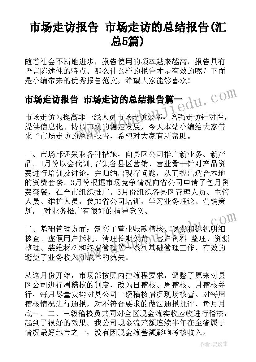 市场走访报告 市场走访的总结报告(汇总5篇)