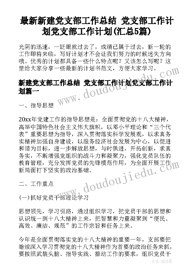 最新新建党支部工作总结 党支部工作计划党支部工作计划(汇总5篇)