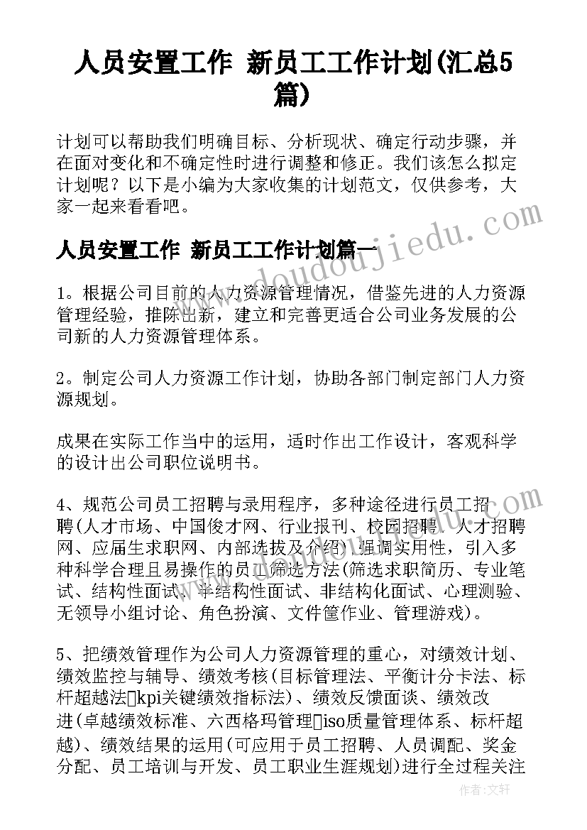 人员安置工作 新员工工作计划(汇总5篇)