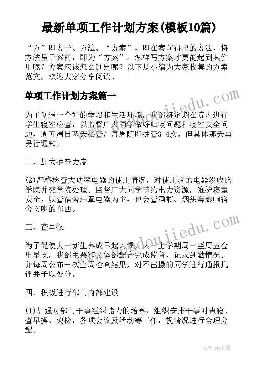 最新单项工作计划方案(模板10篇)