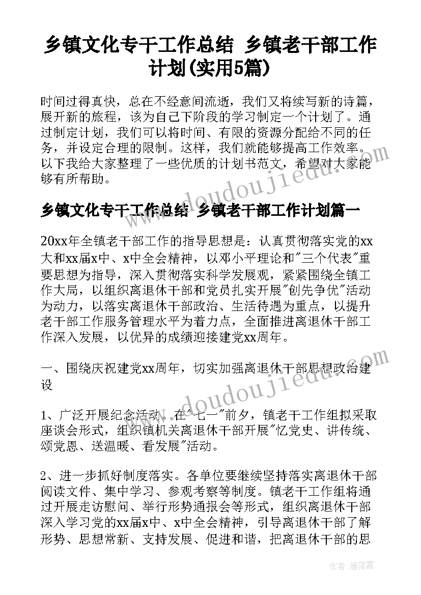 乡镇文化专干工作总结 乡镇老干部工作计划(实用5篇)