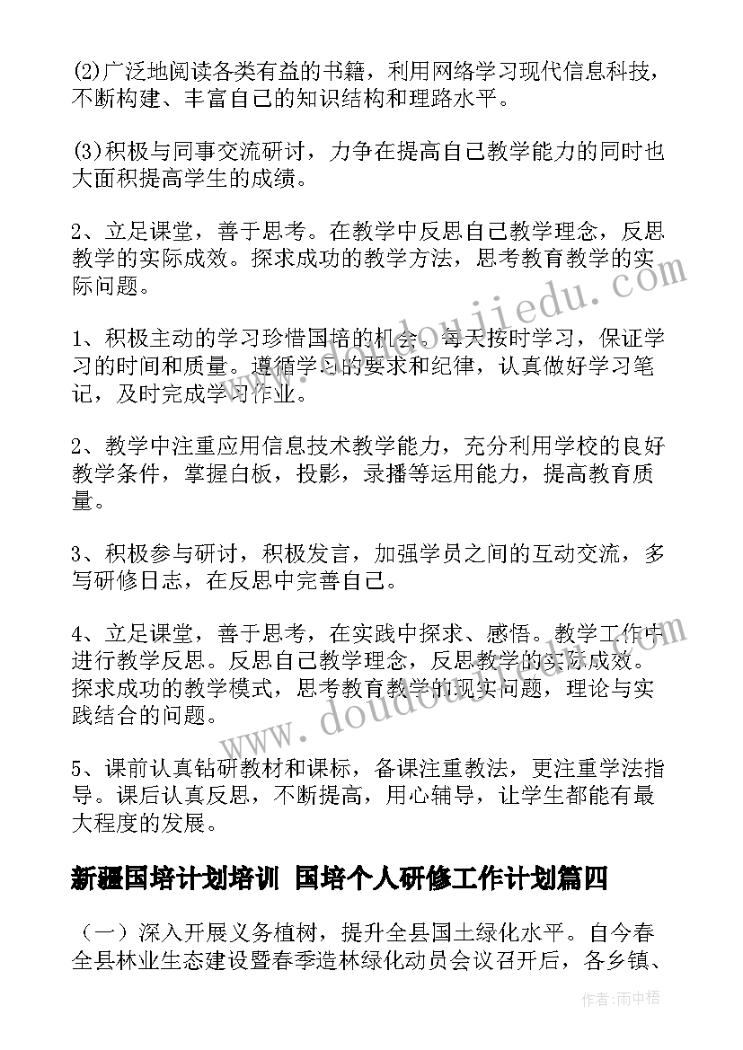 最新新疆国培计划培训 国培个人研修工作计划(模板6篇)