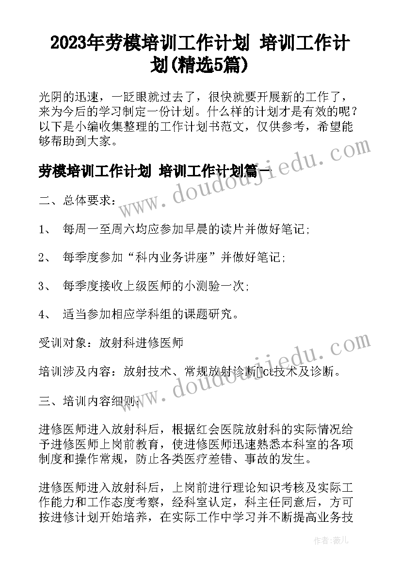 2023年劳模培训工作计划 培训工作计划(精选5篇)