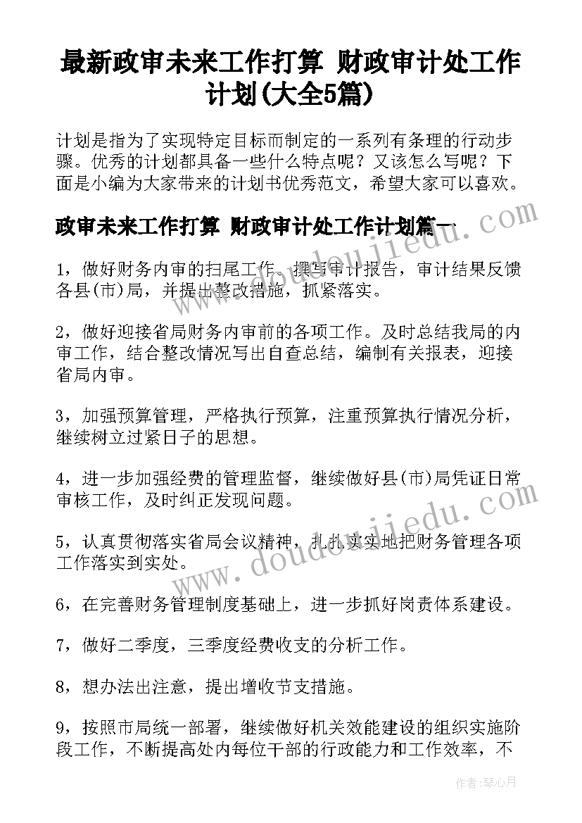 最新政审未来工作打算 财政审计处工作计划(大全5篇)