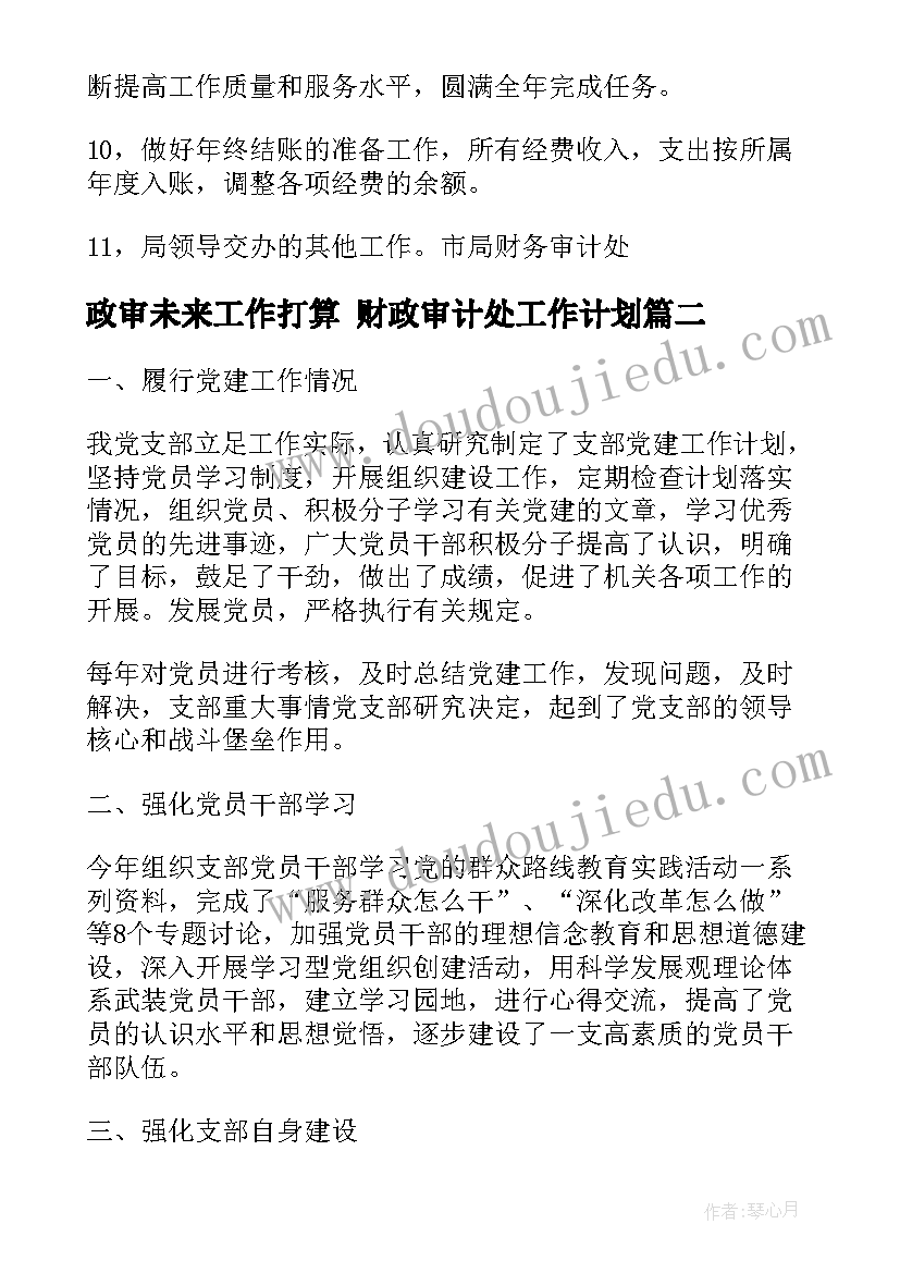 最新政审未来工作打算 财政审计处工作计划(大全5篇)