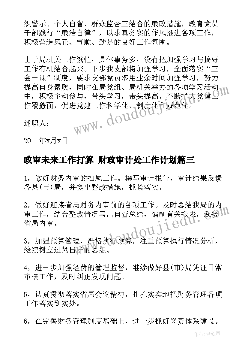 最新政审未来工作打算 财政审计处工作计划(大全5篇)