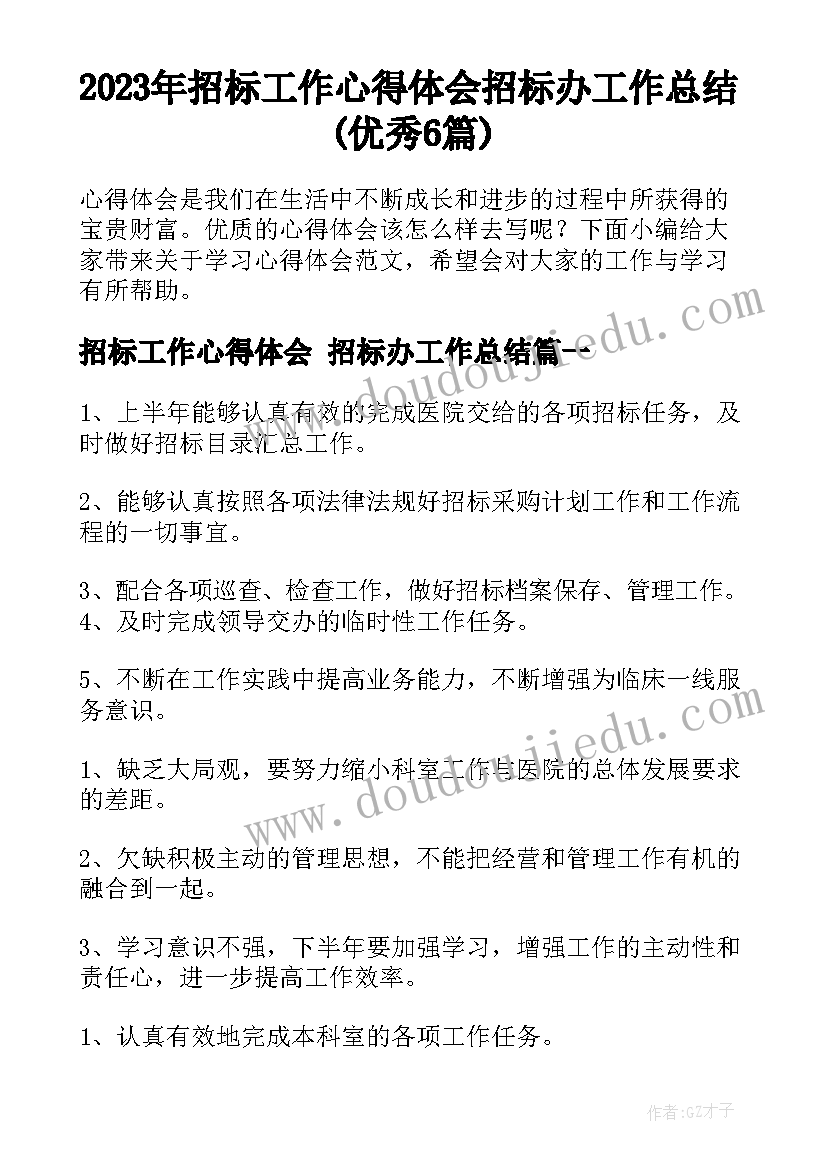 2023年招标工作心得体会 招标办工作总结(优秀6篇)