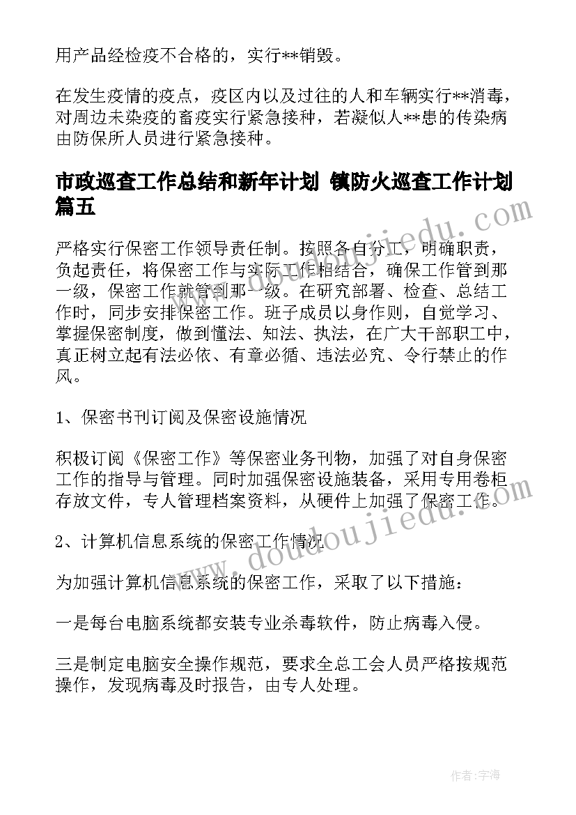 最新市政巡查工作总结和新年计划 镇防火巡查工作计划(汇总7篇)