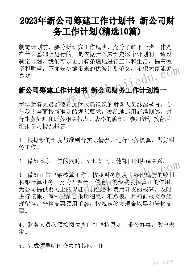 2023年新公司筹建工作计划书 新公司财务工作计划(精选10篇)