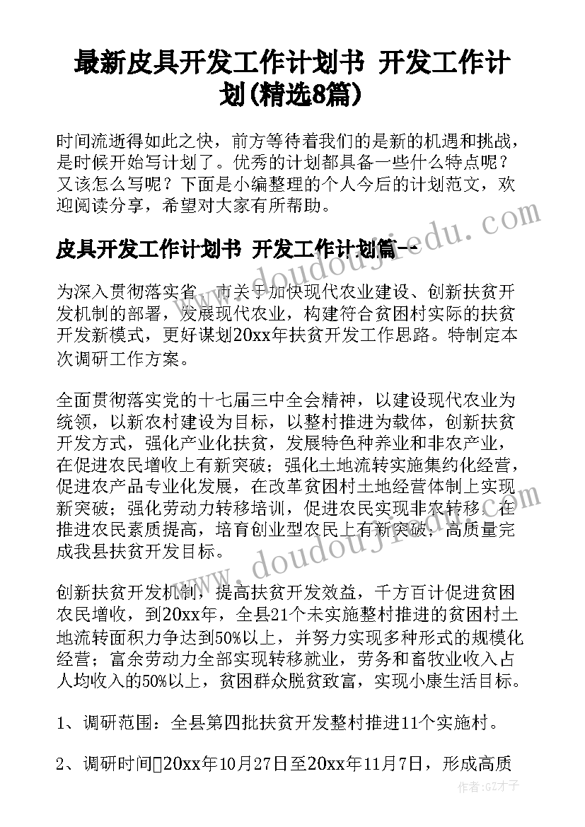 最新皮具开发工作计划书 开发工作计划(精选8篇)