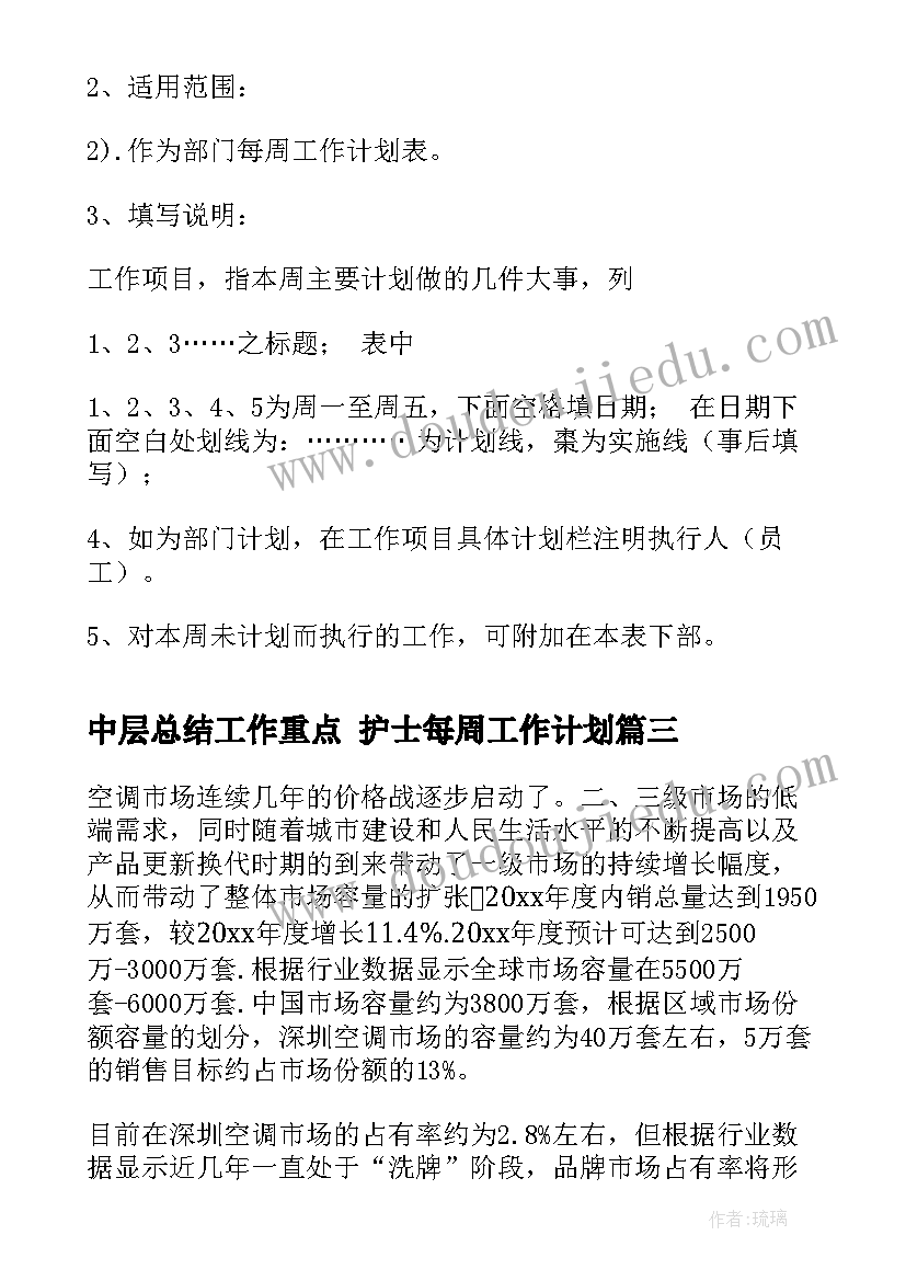 2023年中层总结工作重点 护士每周工作计划(模板8篇)