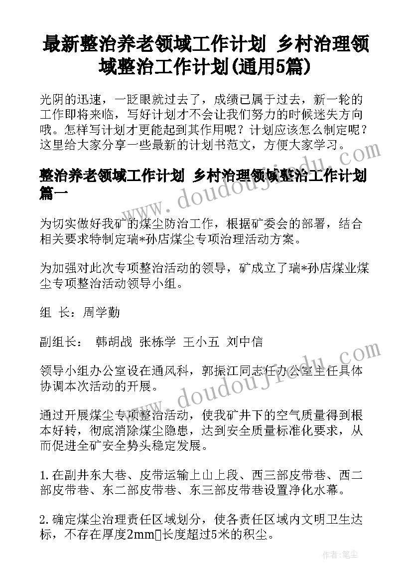 最新整治养老领域工作计划 乡村治理领域整治工作计划(通用5篇)