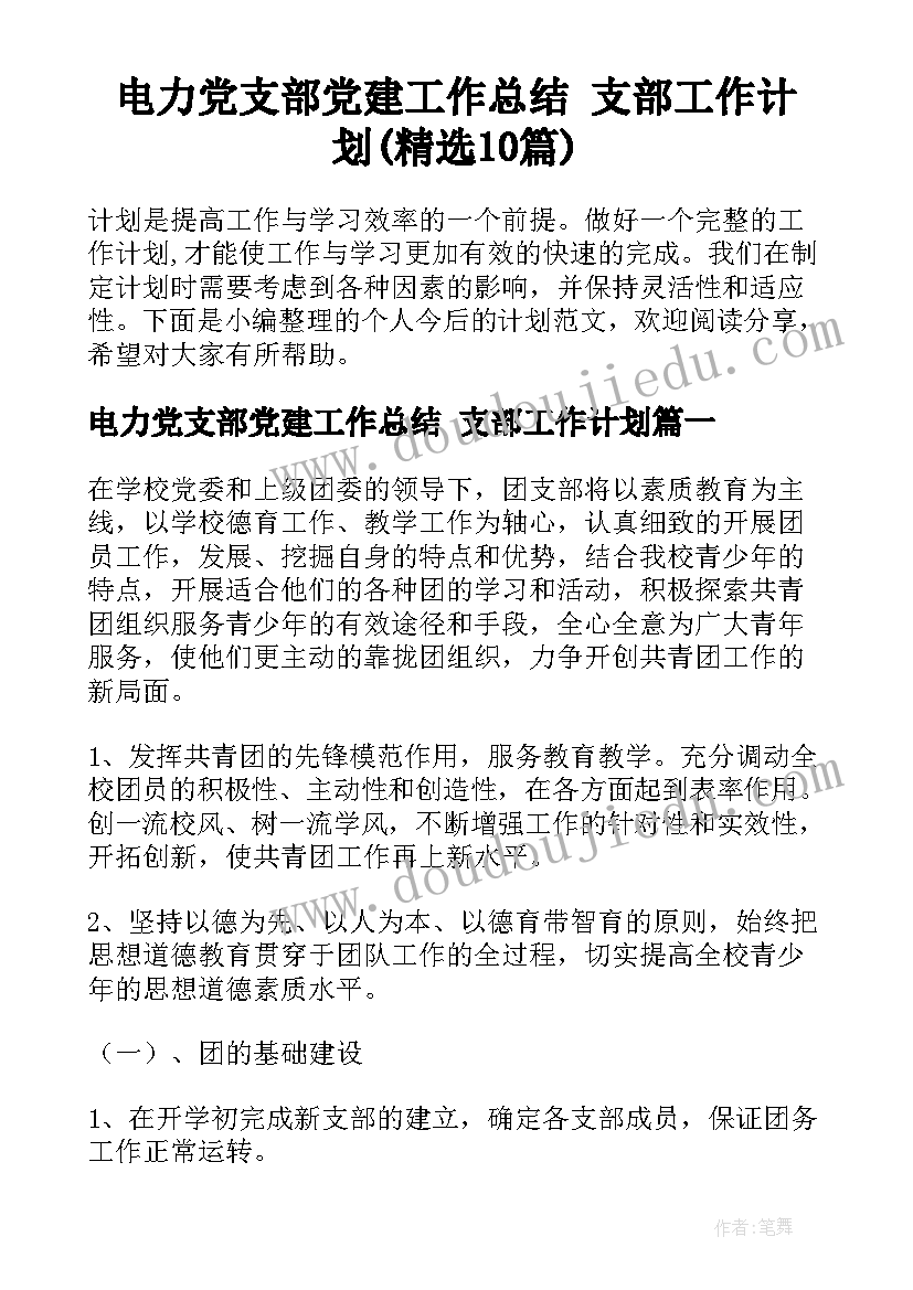 电力党支部党建工作总结 支部工作计划(精选10篇)