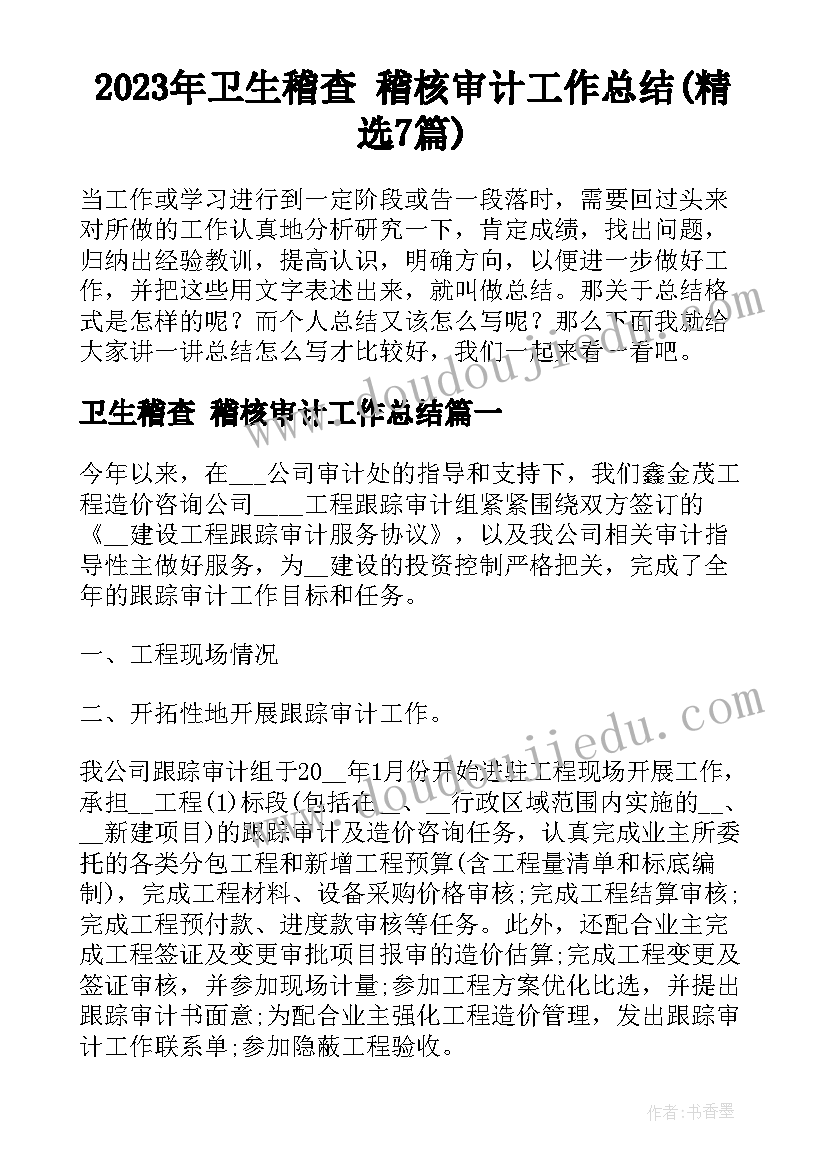 2023年卫生稽查 稽核审计工作总结(精选7篇)