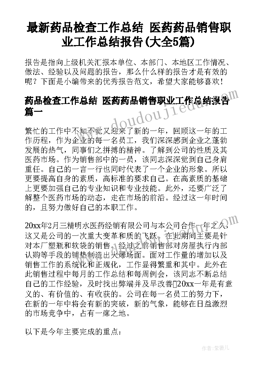 最新药品检查工作总结 医药药品销售职业工作总结报告(大全5篇)