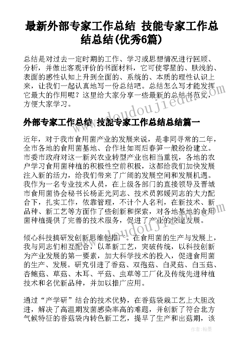 最新外部专家工作总结 技能专家工作总结总结(优秀6篇)